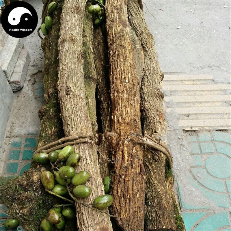 Tong Guang San 通光散, Tenacious Condorvine, Wu Gu Teng-Health Wisdom™
