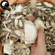 Tong Guang San 通光散, Tenacious Condorvine, Wu Gu Teng-Health Wisdom™