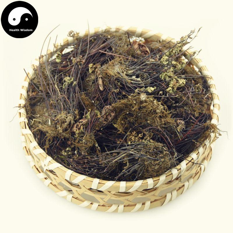 Tong Si Cao 铜丝草, Herba Aleuritopteris Argentea, Tong Jing Cao-Health Wisdom™