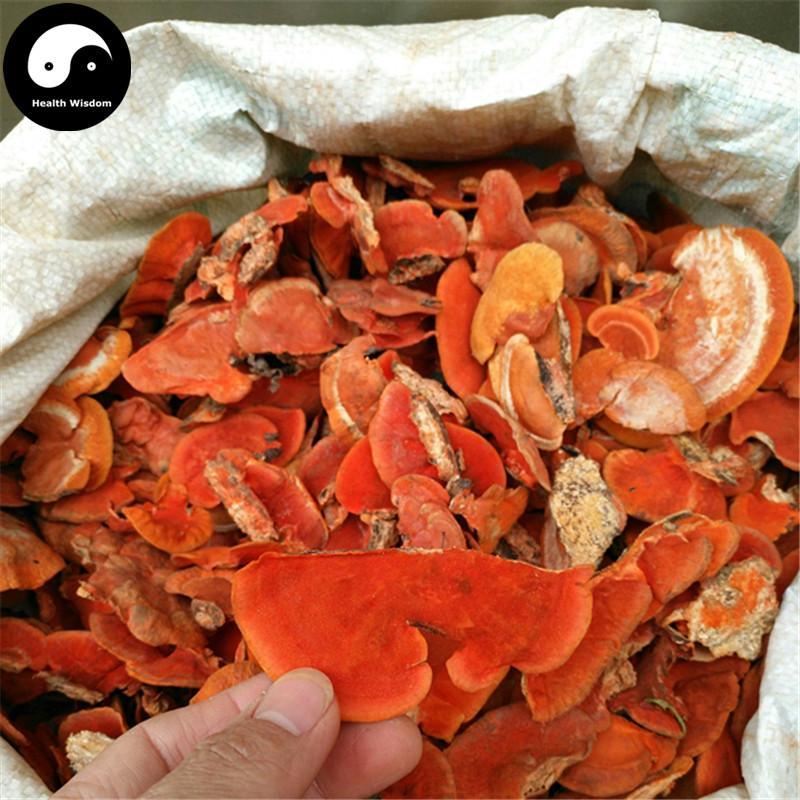 Trametes Cinnabarina, Hong Shuan Jun 红栓菌-Health Wisdom™