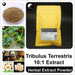 Tribulus Terrestris Extract Powder 10:1, Tribulus Terrestris P.E., Ci Ji Li-Health Wisdom™