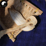 Tricholoma Matsutake, Chinese Rare Pine Mushroom, Song Kou Mo, Song Rong 松茸-Health Wisdom™