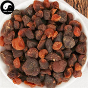 Tu Bei Mu 土貝母, Rhizome Paniculate Bolbostemma, Rhizoma Bolbostemmae, Cao Bei-Health Wisdom™