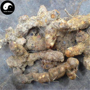 Tu Fu Ling 土茯苓, Rhizoma Smilacis Glabrae, Glabrous Greenbrier Root-Health Wisdom™