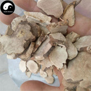 Tu Fu Ling 土茯苓, Rhizoma Smilacis Glabrae, Glabrous Greenbrier Root-Health Wisdom™