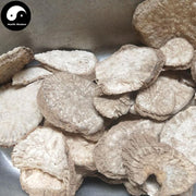 Tu Gua Gen 土瓜根, Mountain Morning Glory Root, Ipomoea Hungaiensis-Health Wisdom™