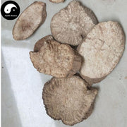 Tu Gua Gen 土瓜根, Mountain Morning Glory Root, Ipomoea Hungaiensis-Health Wisdom™
