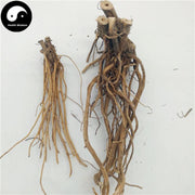 Tu Niu Xi 土牛膝, Achyranthes Aspera Root-Health Wisdom™