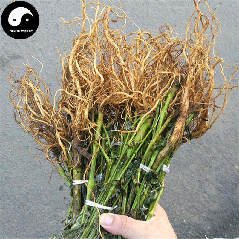 Tu Niu Xi 土牛膝, Achyranthes Aspera Root-Health Wisdom™
