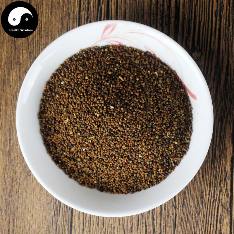 Tu Si Zi 菟絲子, Semen Cuscutae, Chinese Dodder Seed-Health Wisdom™