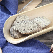 Tu Teng Tou 土藤头, Oldenlandia Hedyotiden, Bai Sui Yu 白碎玉-Health Wisdom™
