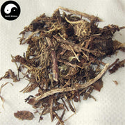Wa Song 瓦松, Herba Orostachyos, Fimbriae Orostachys, Wa Hua, Xiang Tian Cao-Health Wisdom™