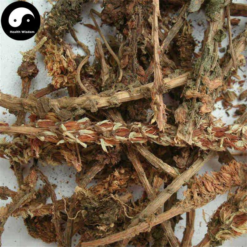 Wa Song 瓦松, Herba Orostachyos, Fimbriae Orostachys, Wa Hua, Xiang Tian Cao-Health Wisdom™