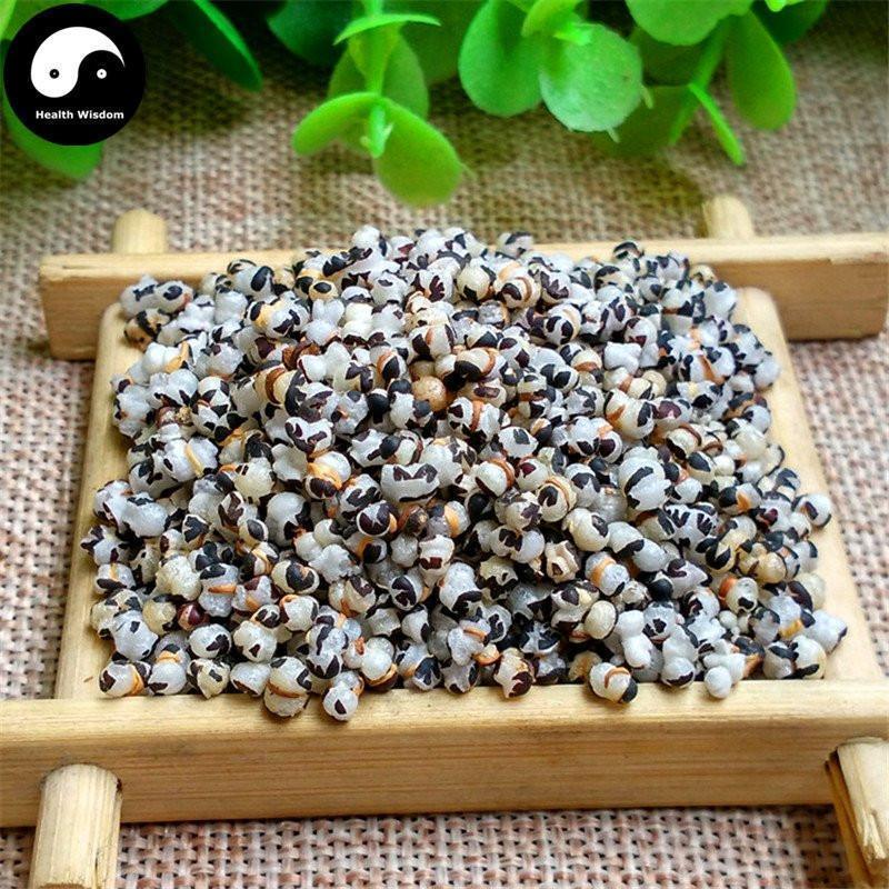Wang Bu Liu Xing 王不留行, Cowherb Seed, Baked Semen Vaccariae, Gypsophila Vaccaria-Health Wisdom™