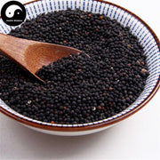Wang Bu Liu Xing 王不留行, Cowherb Seed, Semen Vaccariae, Gypsophila Vaccaria-Health Wisdom™