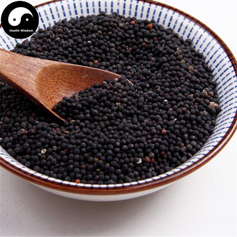 Wang Bu Liu Xing 王不留行, Cowherb Seed, Semen Vaccariae, Gypsophila Vaccaria-Health Wisdom™
