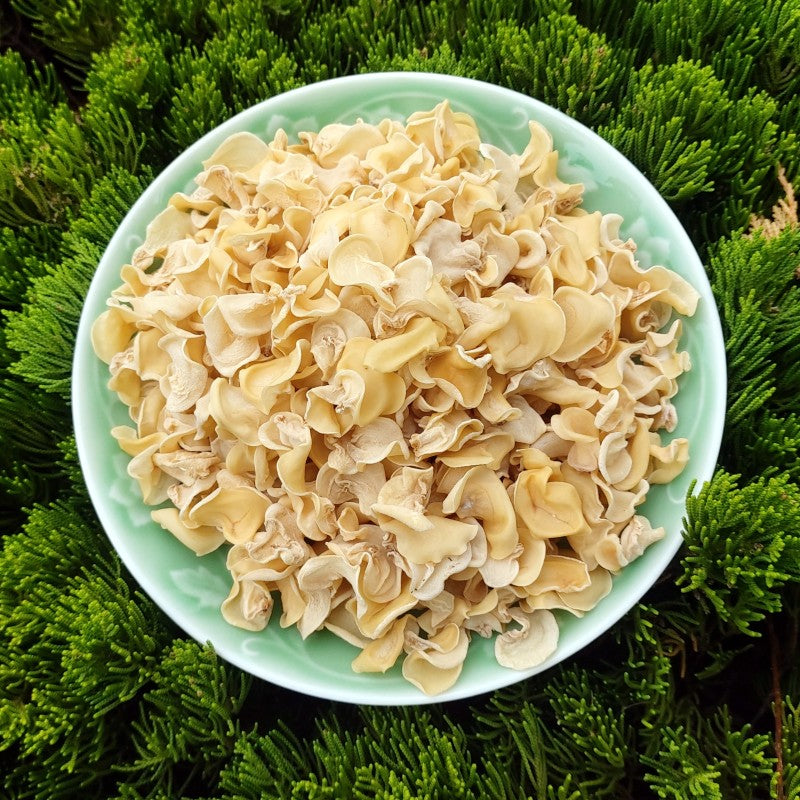 White Fungus, Dried Auricularia Auricula Mushroom, Agaric Wood Ear Fungus, Bai Yu Mu Er 白玉木耳-Health Wisdom™