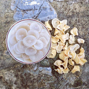 White Fungus, Dried Auricularia Auricula Mushroom, Agaric Wood Ear Fungus, Bai Yu Mu Er 白玉木耳-Health Wisdom™