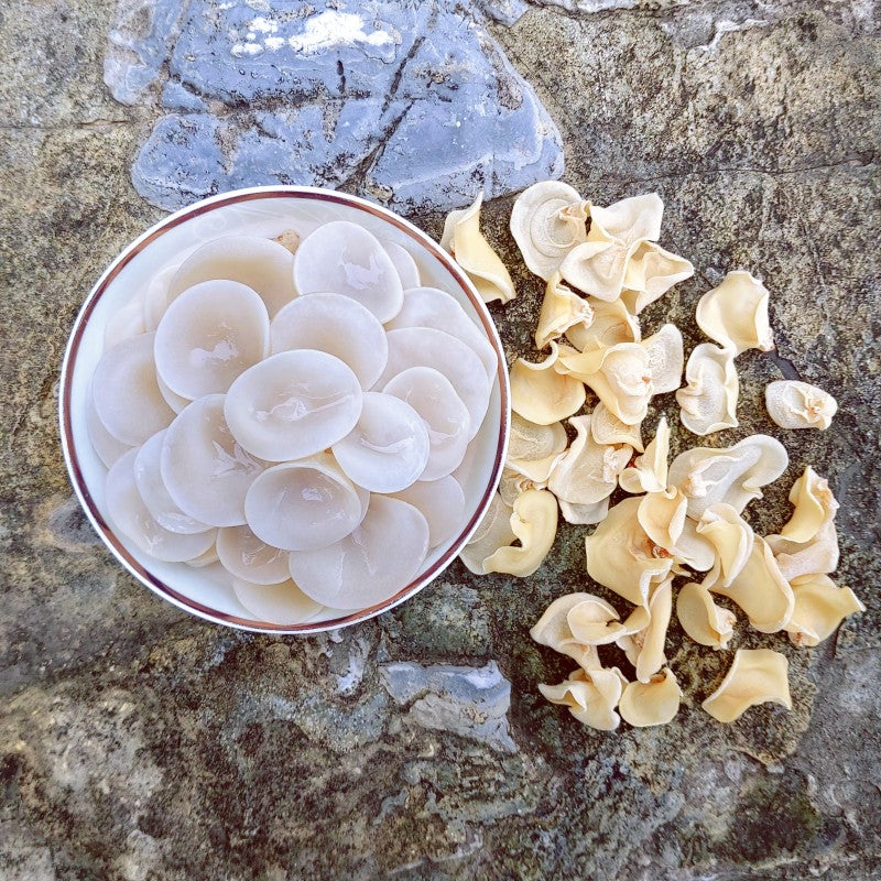 White Fungus, Dried Auricularia Auricula Mushroom, Agaric Wood Ear Fungus, Bai Yu Mu Er 白玉木耳-Health Wisdom™