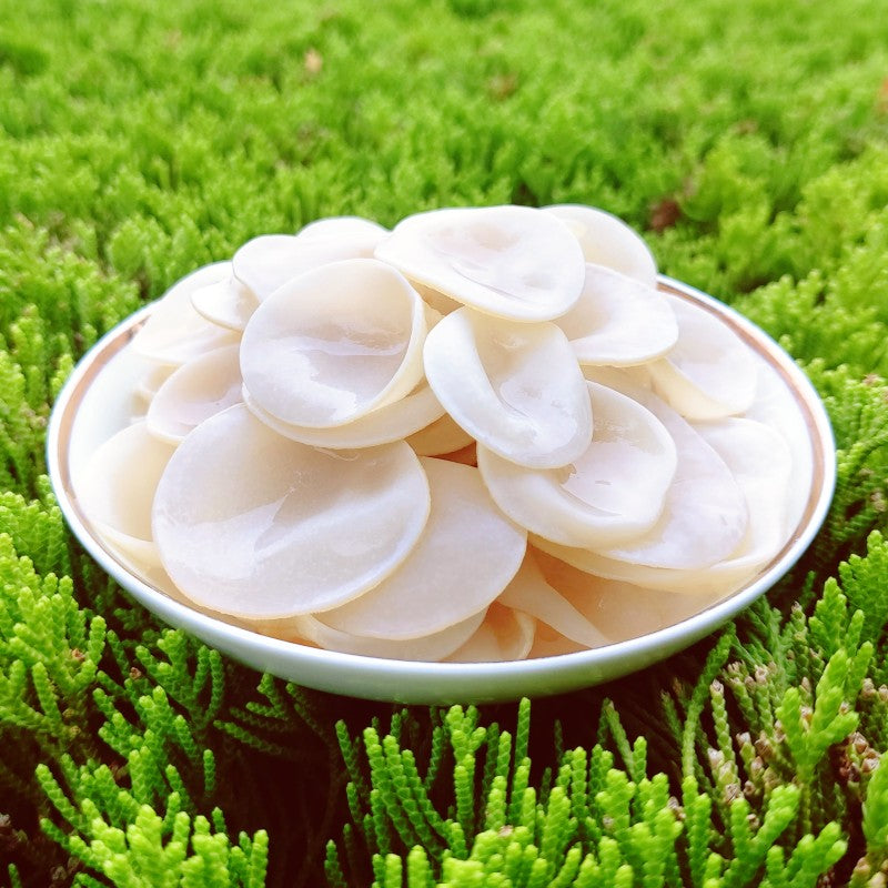 White Fungus, Dried Auricularia Auricula Mushroom, Agaric Wood Ear Fungus, Bai Yu Mu Er 白玉木耳-Health Wisdom™