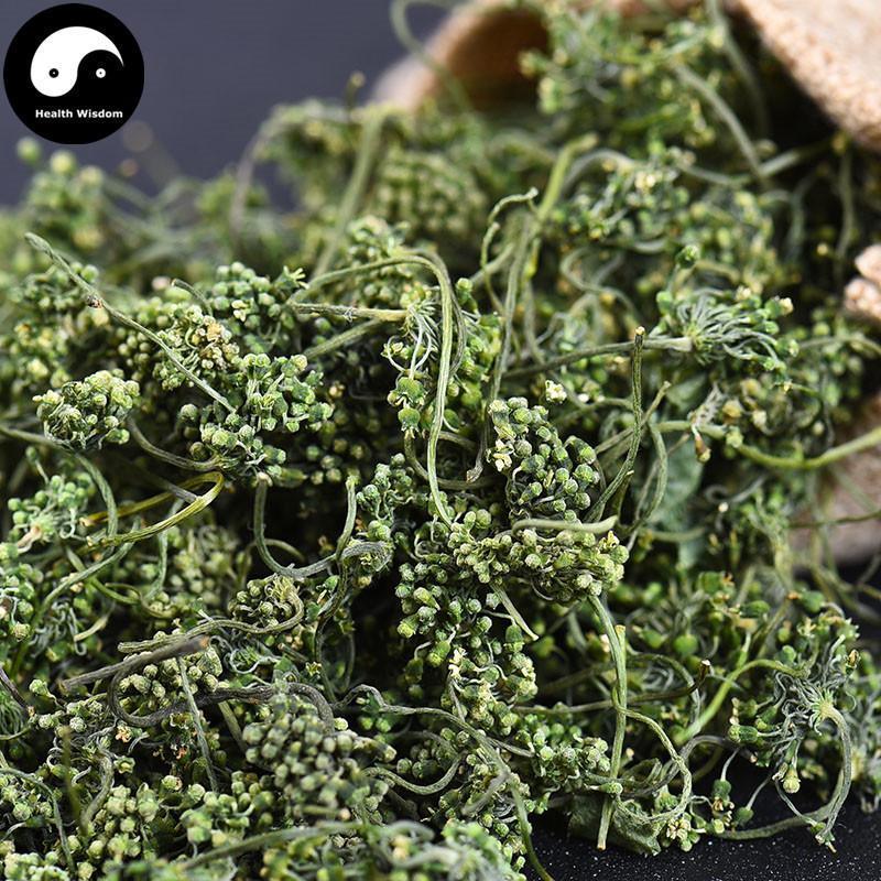 White Ginseng Flower Tea, Panax Ginseng Flower, Bai Ren Shen Hua 人参花茶-Health Wisdom™