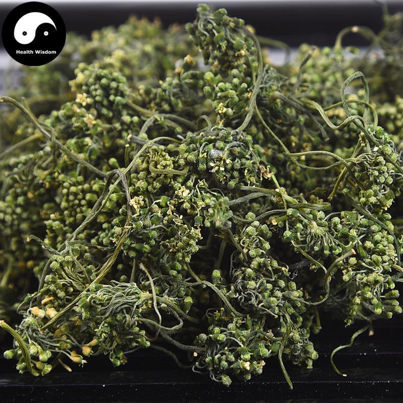 White Ginseng Flower Tea, Panax Ginseng Flower, Bai Ren Shen Hua 人参花茶-Health Wisdom™