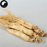 White Ginseng Roots, 6 Years Whole Panax Ginseng Roots, Bai Ren Shen 白人参-Health Wisdom™