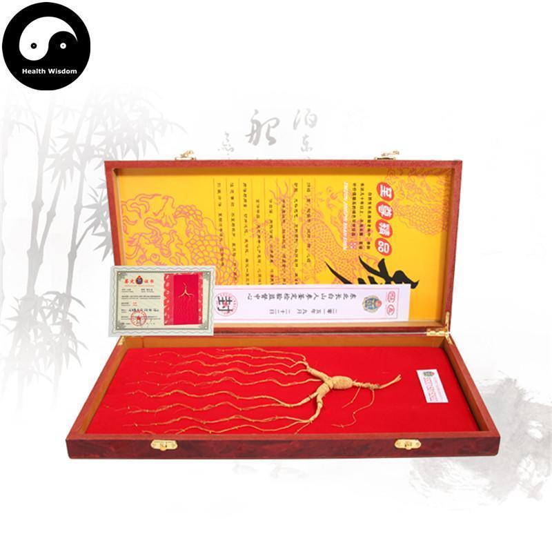 White Ginseng Roots Branches, 20 Years Wild Panax Ginseng Root, Bai Ren Shen 林下野人参-Health Wisdom™