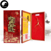 White Ginseng Roots Branches, 20 Years Wild Panax Ginseng Root, Bai Ren Shen 林下野人参-Health Wisdom™