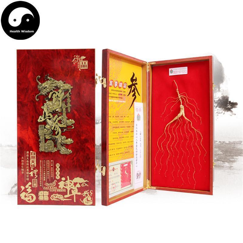 White Ginseng Roots Branches, 20 Years Wild Panax Ginseng Root, Bai Ren Shen 林下野人参-Health Wisdom™