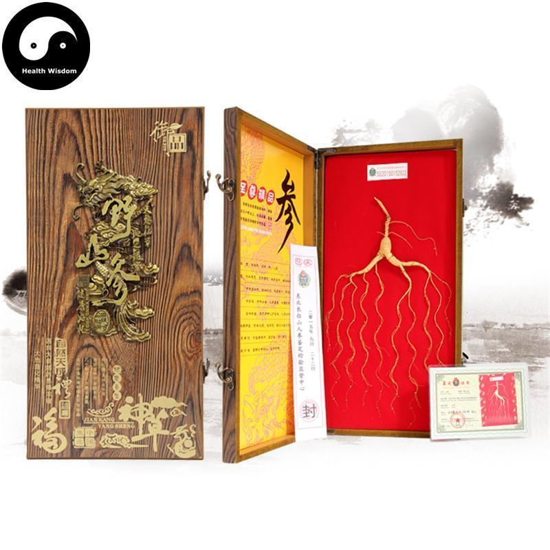 White Ginseng Roots Branches, 20 Years Wild Panax Ginseng Root, Bai Ren Shen 林下野人参-Health Wisdom™