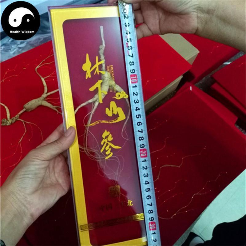 White Ginseng Roots Branches (Wild), 12 Years Panax Ginseng Roots, Bai Ren Shen 林下野人参-Health Wisdom™