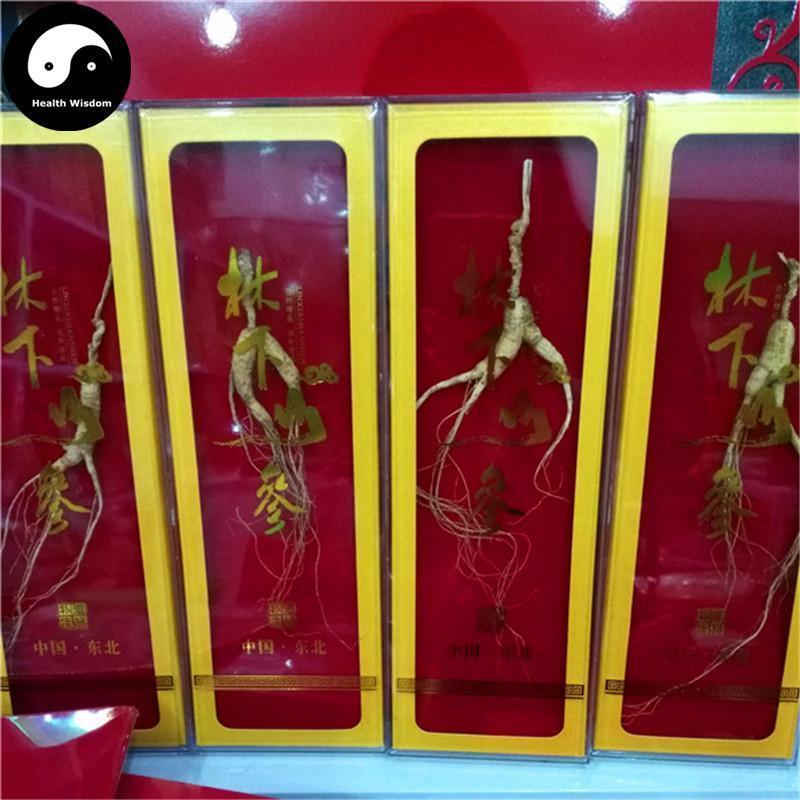 White Ginseng Roots Branches (Wild), 12 Years Panax Ginseng Roots, Bai Ren Shen 林下野人参-Health Wisdom™