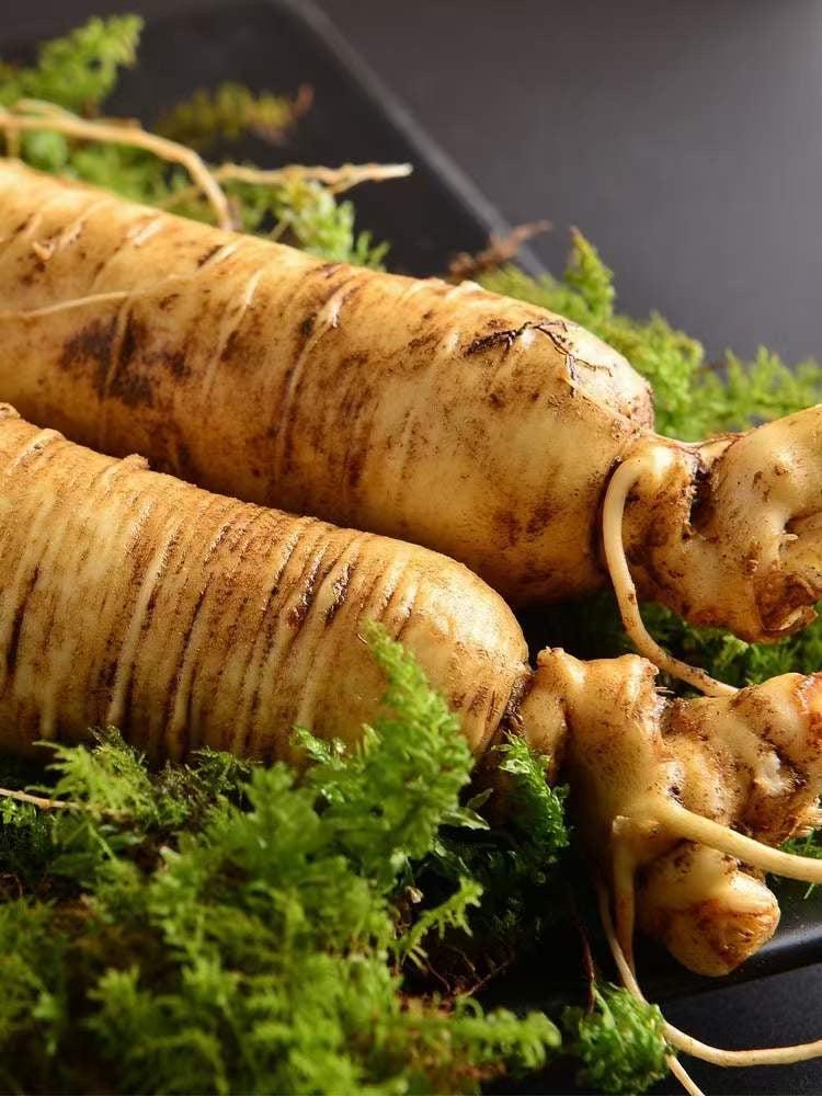 White Ginseng Roots Powder, Panax Ginseng Roots, Pure Bai Ren Shen Fen 白人参粉-Health Wisdom™