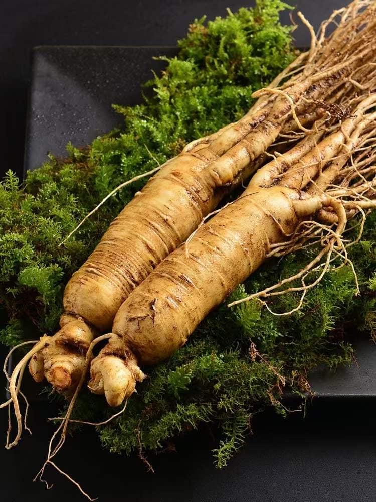 White Ginseng Roots Powder, Panax Ginseng Roots, Pure Bai Ren Shen Fen 白人参粉-Health Wisdom™