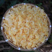 White Tremella, Dried Tremella Fuciformis, Mushroom Yin Er Geng 银耳羹-Health Wisdom™