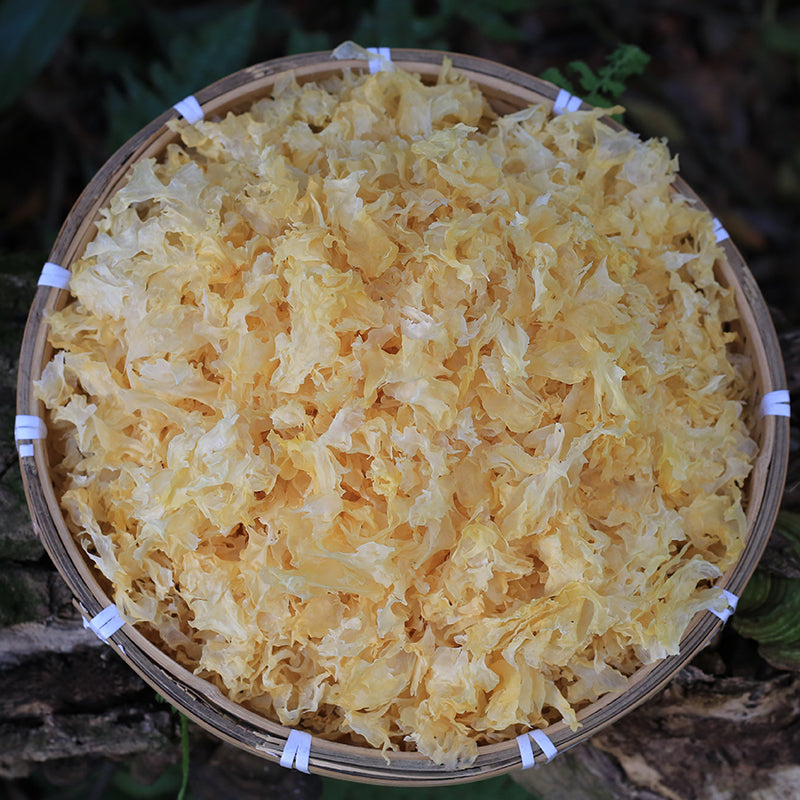 White Tremella, Dried Tremella Fuciformis, Mushroom Yin Er Geng 银耳羹-Health Wisdom™