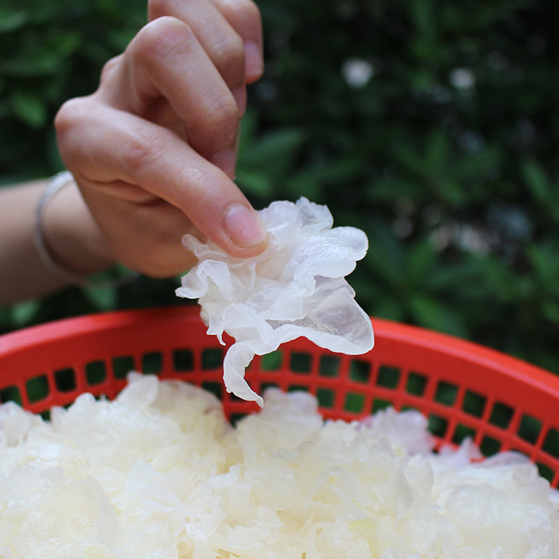 White Tremella, Dried Tremella Fuciformis, Mushroom Yin Er Geng 银耳羹-Health Wisdom™
