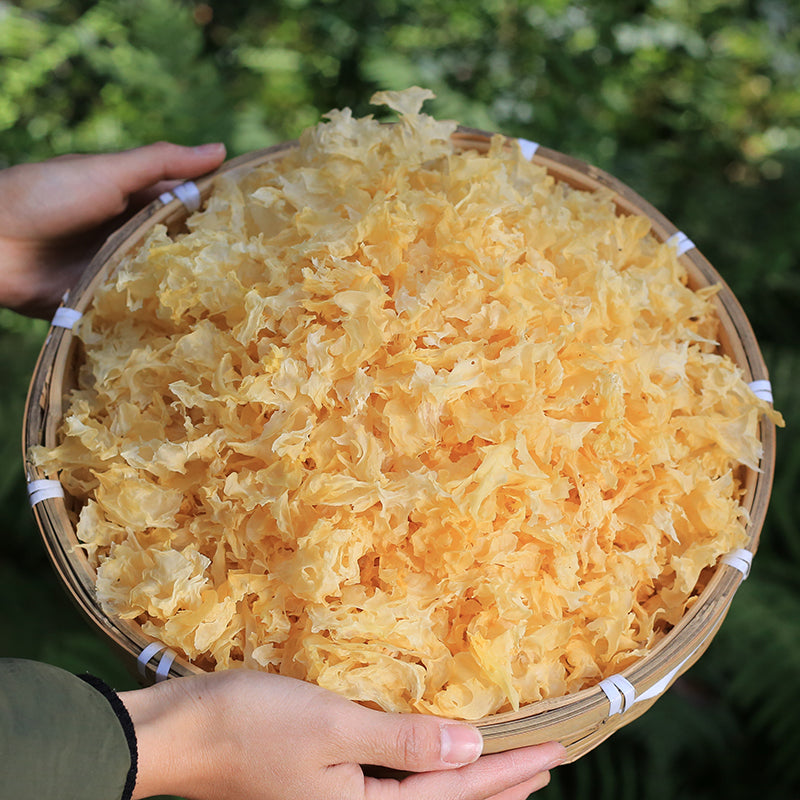 White Tremella, Dried Tremella Fuciformis, Mushroom Yin Er Geng 银耳羹-Health Wisdom™