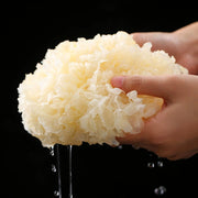 White Tremella, Dried Tremella Fuciformis, Mushroom Yin Er 银耳-Health Wisdom™