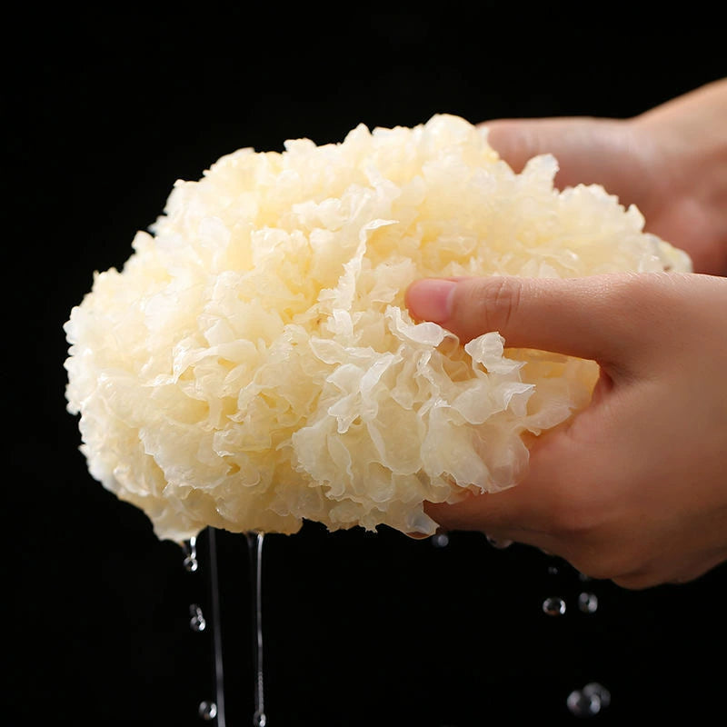 White Tremella, Dried Tremella Fuciformis, Mushroom Yin Er 银耳-Health Wisdom™