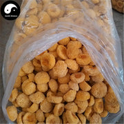 White Tremella Fungus, Tremella Fuciformis, Dried Mushroom Yin Er 银耳 Chou Er 丑耳-Health Wisdom™