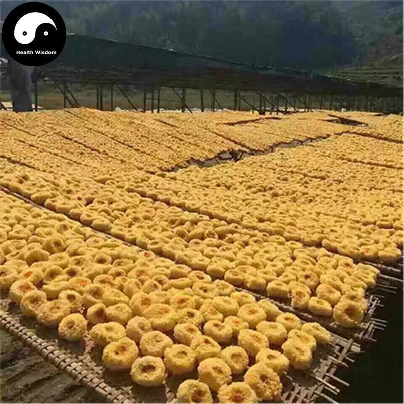 White Tremella Fungus, Tremella Fuciformis, Dried Mushroom Yin Er 银耳 Chou Er 丑耳-Health Wisdom™