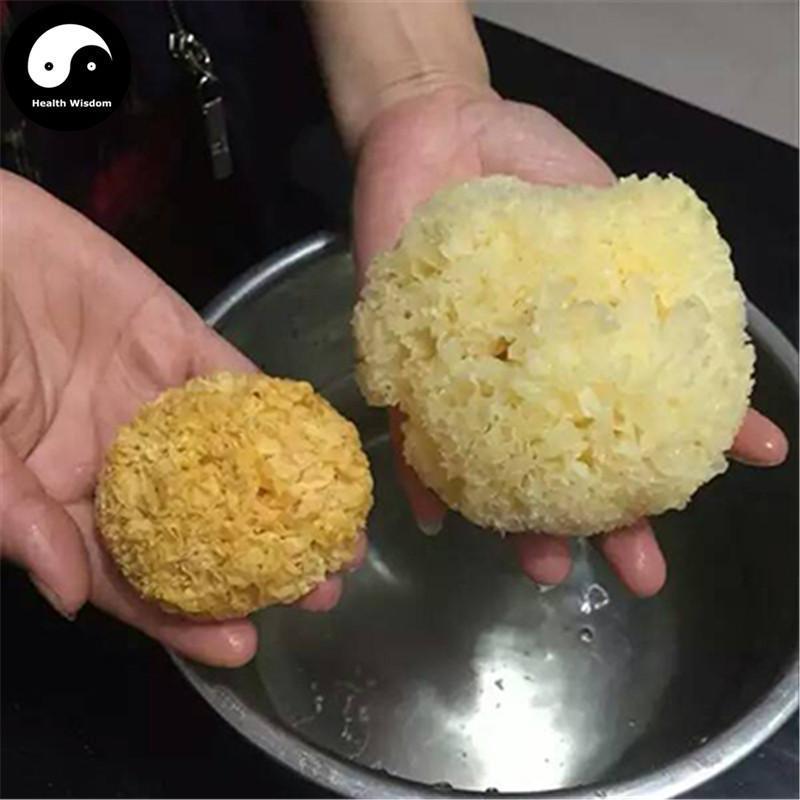 White Tremella Fungus, Tremella Fuciformis, Dried Mushroom Yin Er 银耳 Chou Er 丑耳-Health Wisdom™