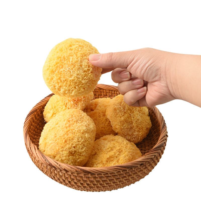 White Tremella Fungus, Tremella Fuciformis, Dried Mushroom Yin Er 银耳 Chou Er 丑耳-Health Wisdom™