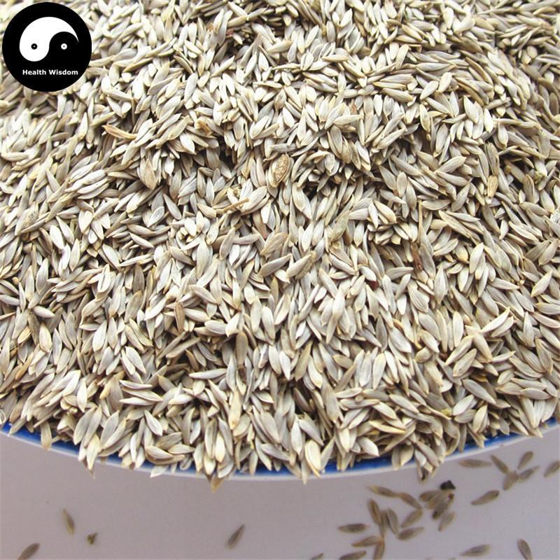 Wo Ju Zi 萵苣子, Bai Wo Ju Zi, Seed of garden lettuce, Sheng Cai Zi-Health Wisdom™