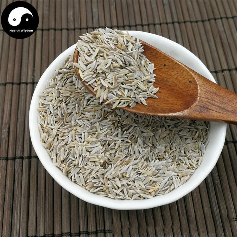Wo Ju Zi 萵苣子, Bai Wo Ju Zi, Seed of garden lettuce, Sheng Cai Zi-Health Wisdom™