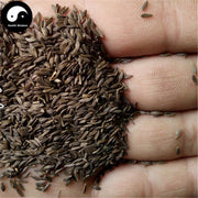 Wo Ju Zi 萵苣子, Hei Wo Ju Zi, Seed of garden lettuce, Sheng Cai Zi-Health Wisdom™