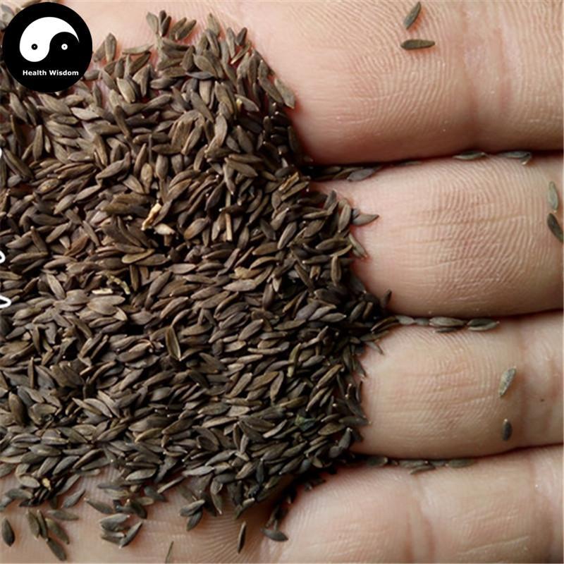 Wo Ju Zi 萵苣子, Hei Wo Ju Zi, Seed of garden lettuce, Sheng Cai Zi-Health Wisdom™