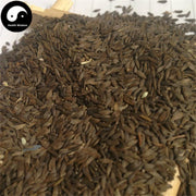 Wo Ju Zi 萵苣子, Hei Wo Ju Zi, Seed of garden lettuce, Sheng Cai Zi-Health Wisdom™